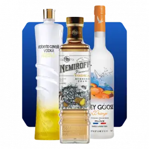 וודקה בטעמים