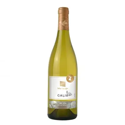 גליל אלון לבן