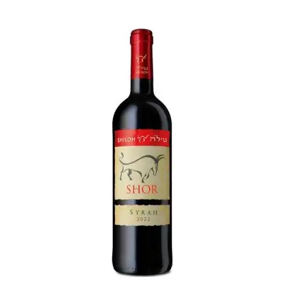 שילה שור סירה