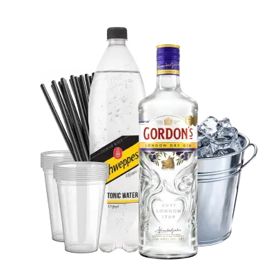 גורדון + קרח + טוניק + כוסות + קשים