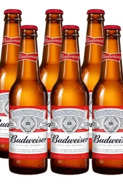 בירה באדוויזר מארז שישייה