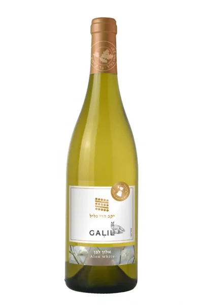 גליל אלון לבן