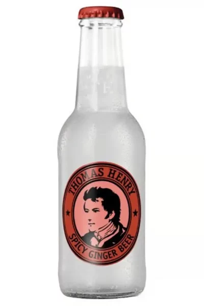 תומס הנרי גינגר ביר