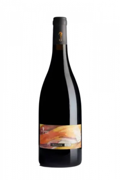 סוסון ים אנטואן