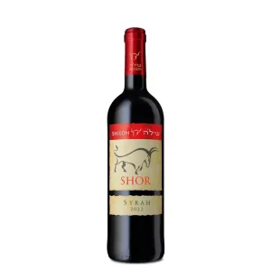 שילה שור סירה