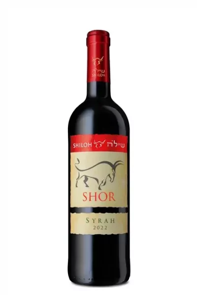 שילה שור סירה